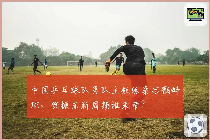 中国乒乓球队男队主教练秦志戬辞职，樊振东新周期谁来带？