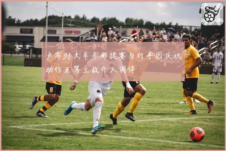 卢布列夫辛辛那提赛与对手因庆祝动作互骂主裁介入调停