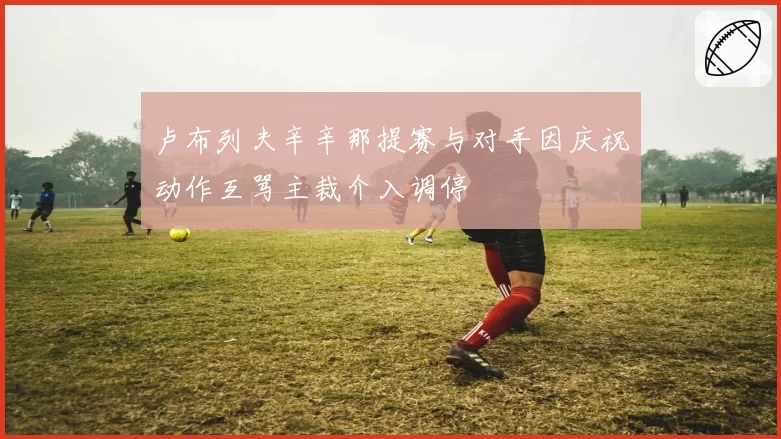 卢布列夫辛辛那提赛与对手因庆祝动作互骂主裁介入调停